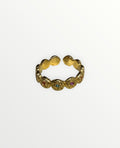 El Anillo Velia V