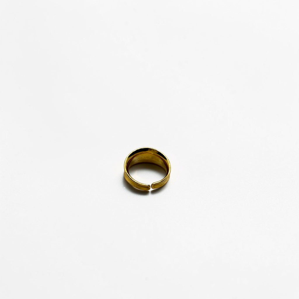El Anillo Danae V