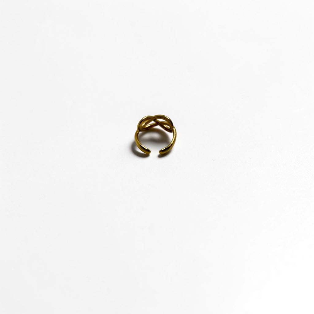 El Anillo Eurídice V