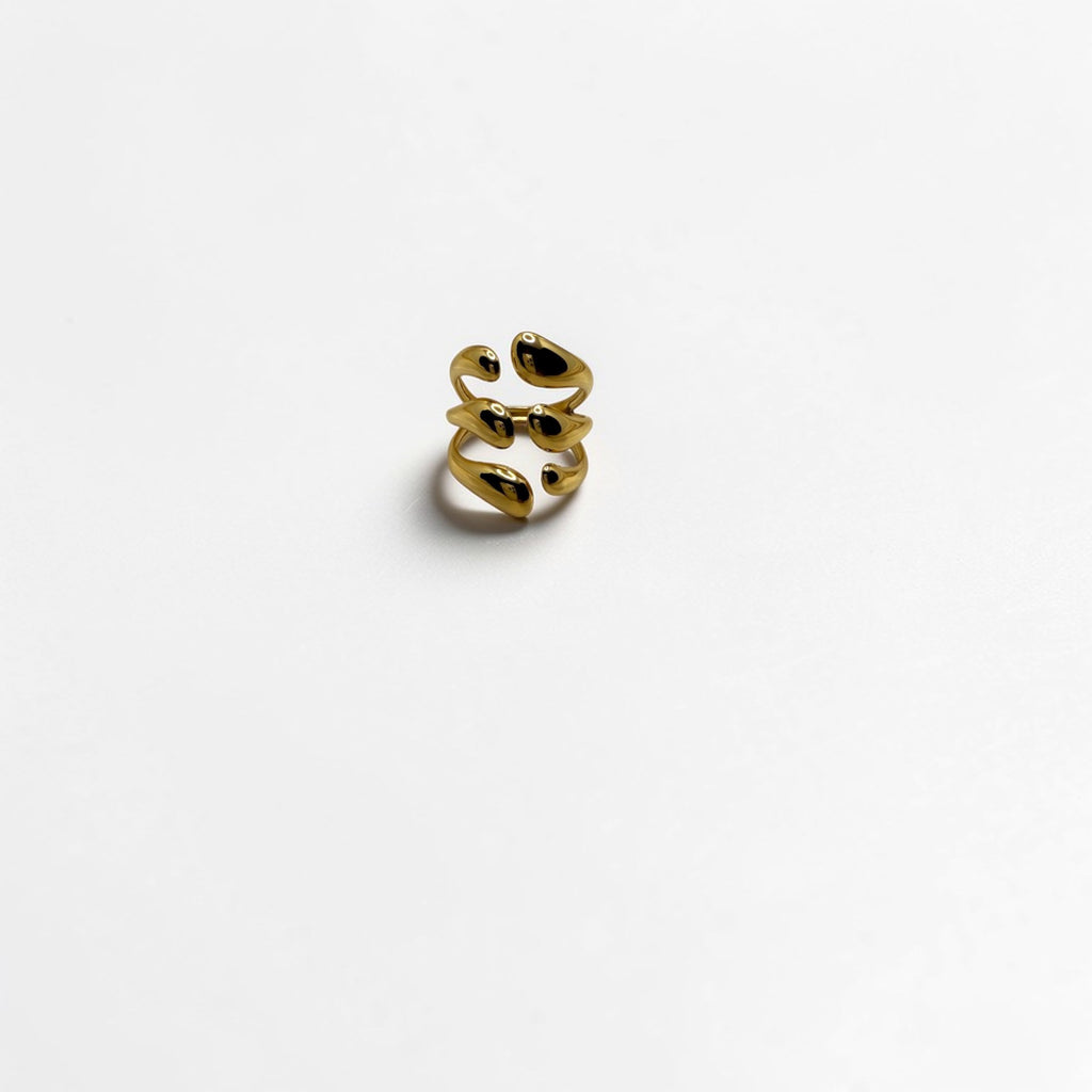 El Anillo Leto V