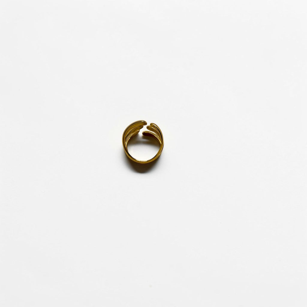El Anillo Leto V