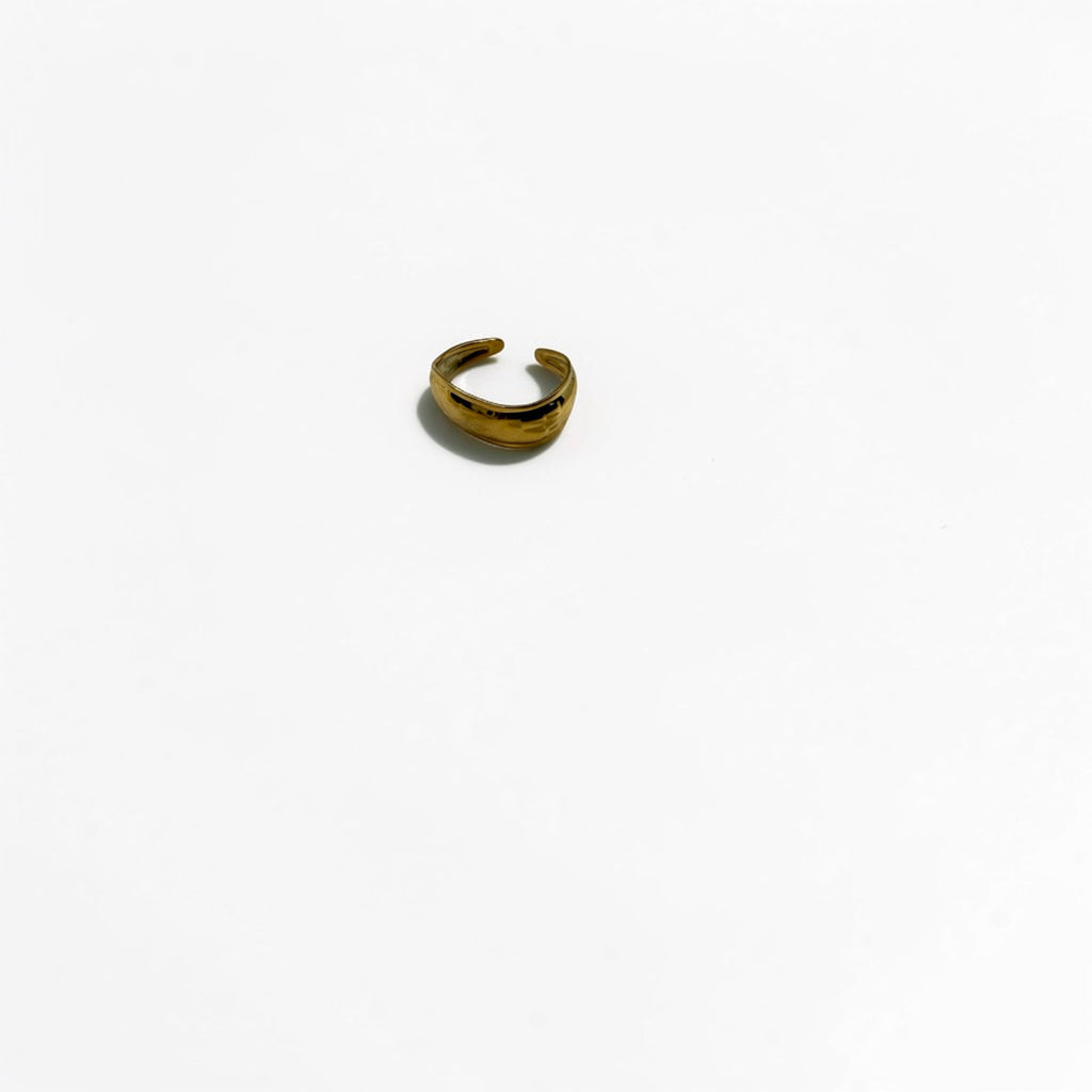 El Anillo Melia V