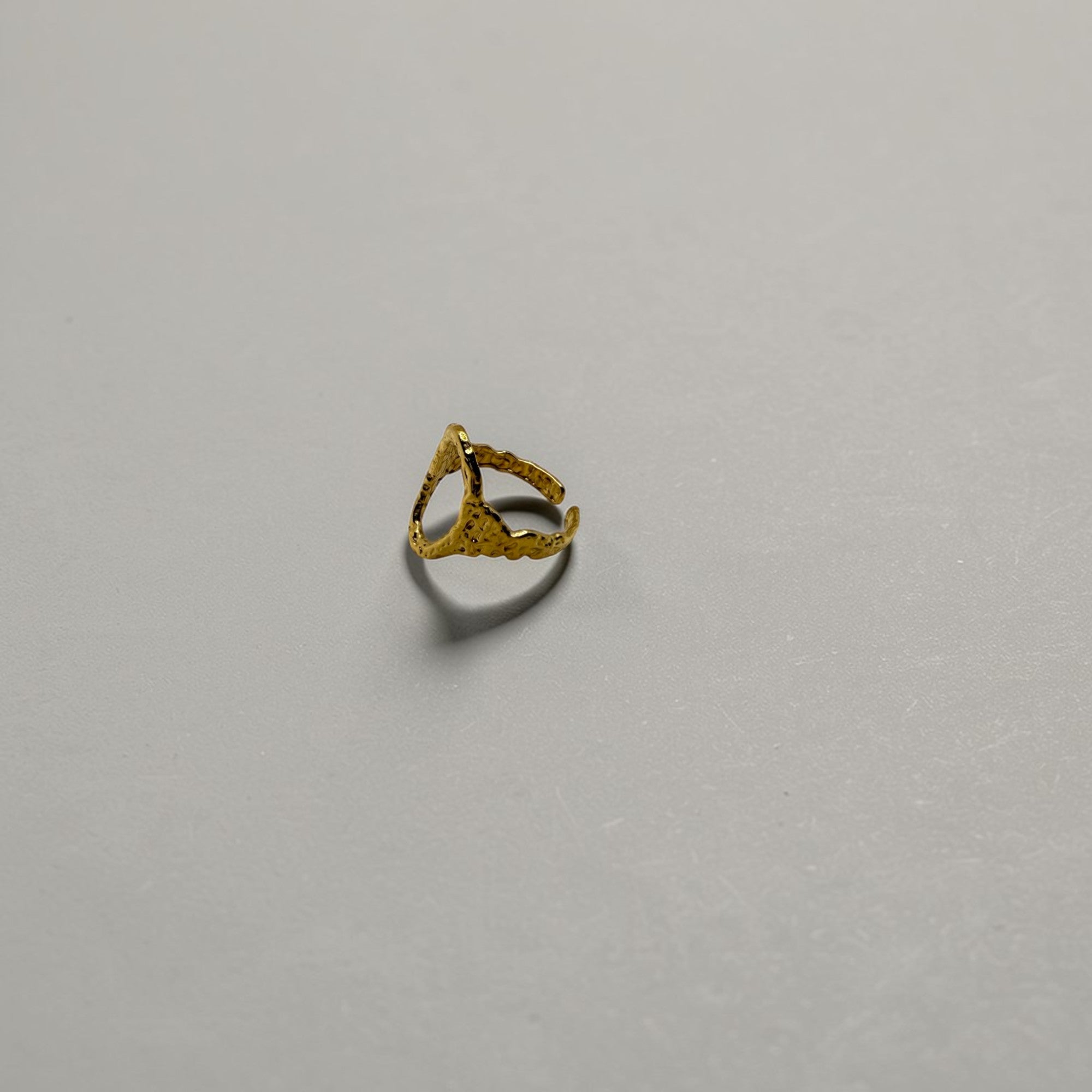 El Anillo Deméter V