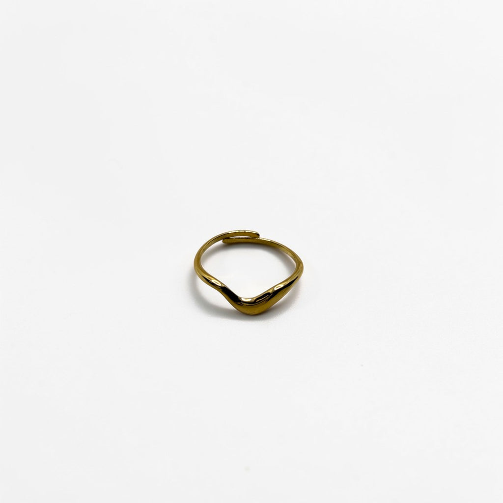 El Anillo Deméter V