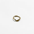 El Anillo Deméter V