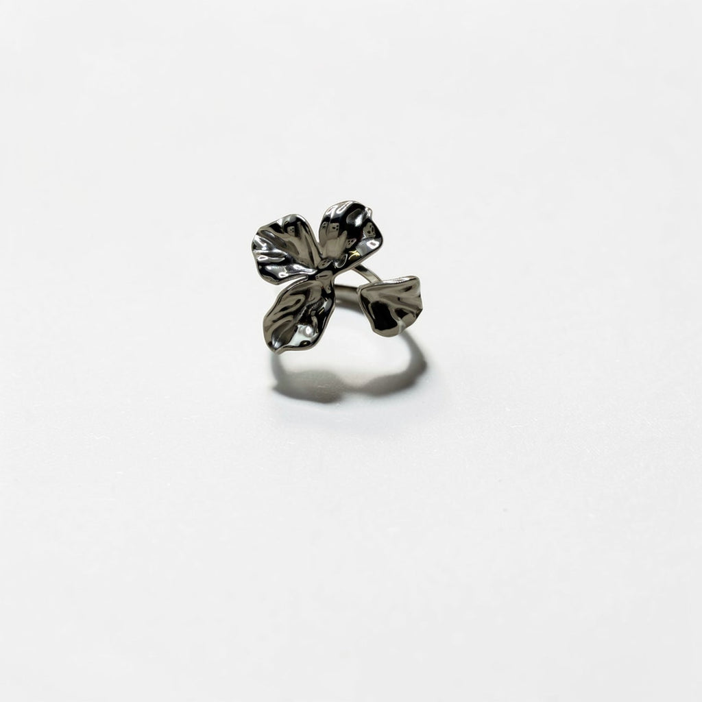 El Anillo Aura V