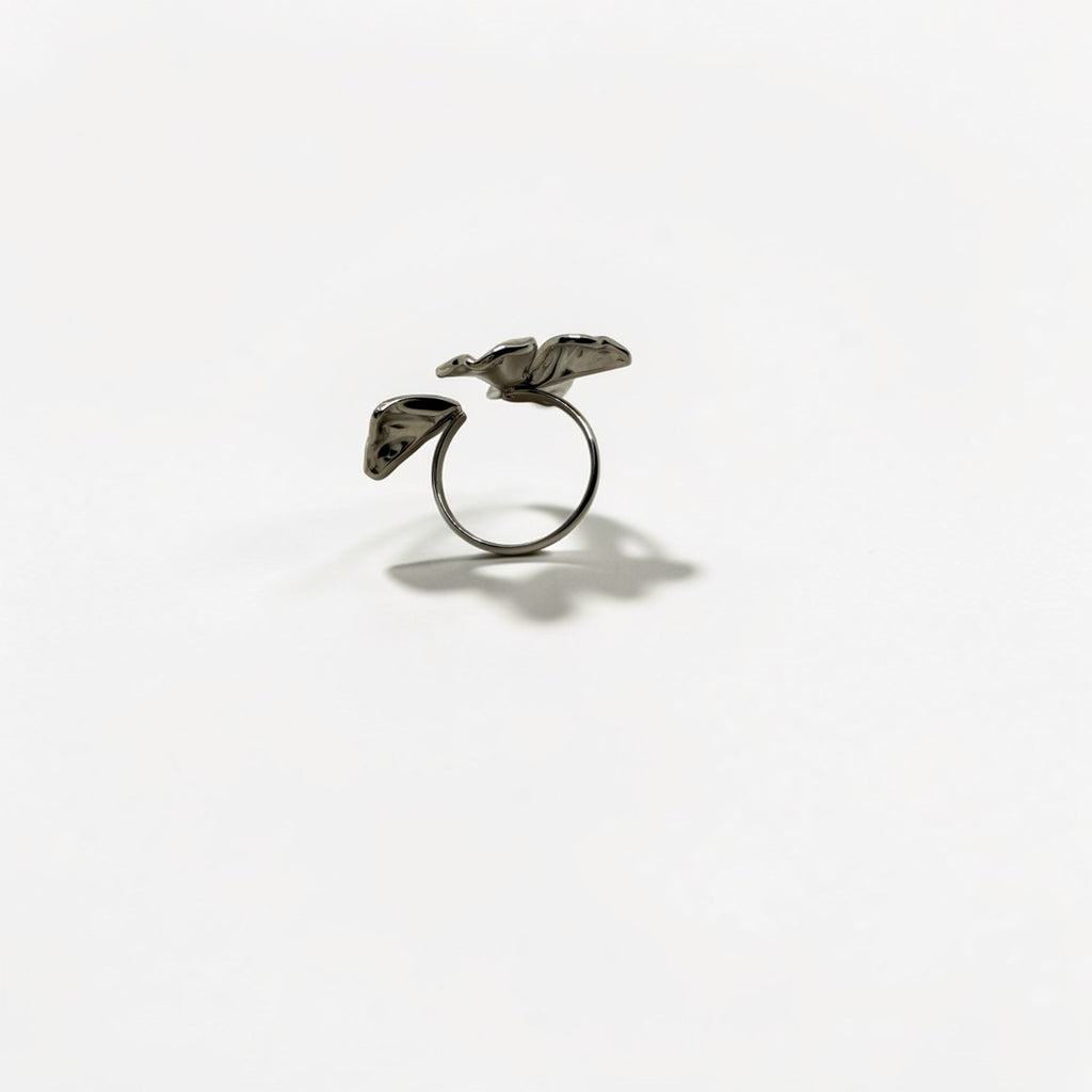 El Anillo Aura V