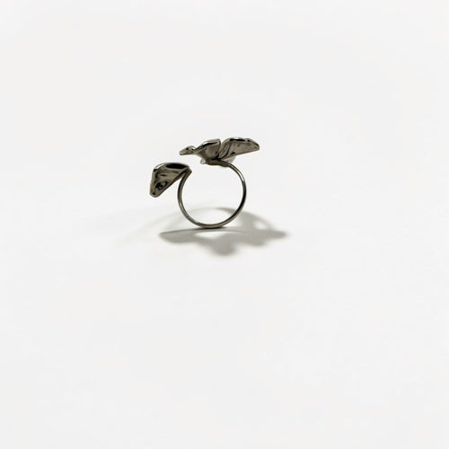 El Anillo Aura V
