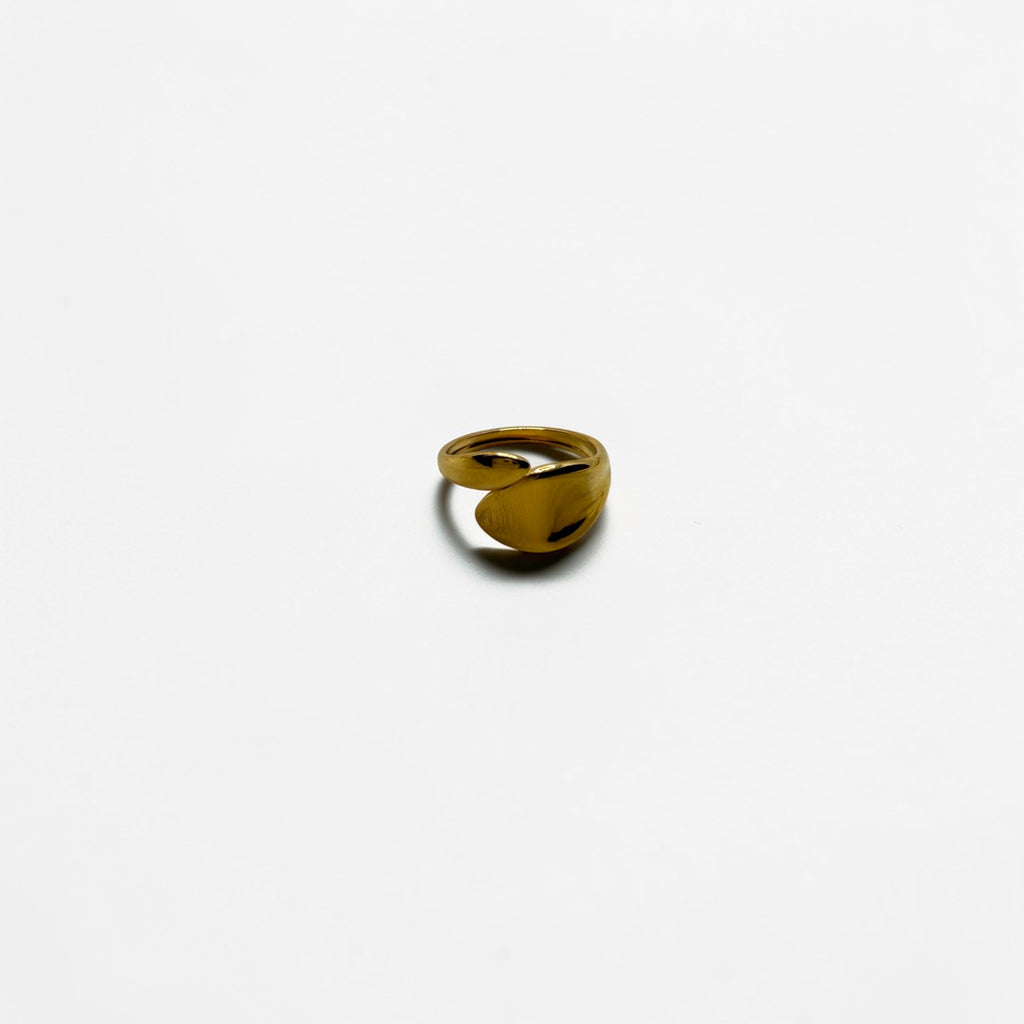 El Anillo Lyra V