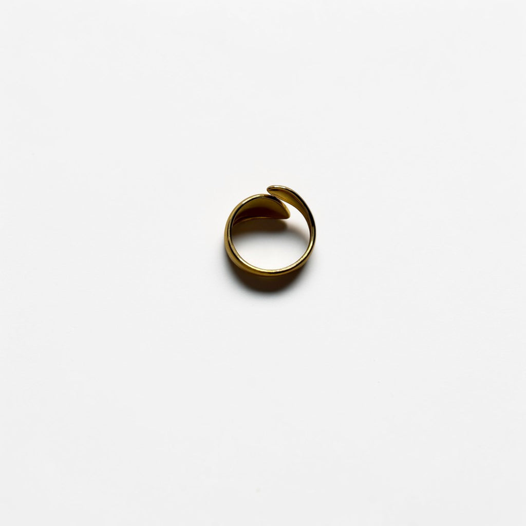 El Anillo Lyra V