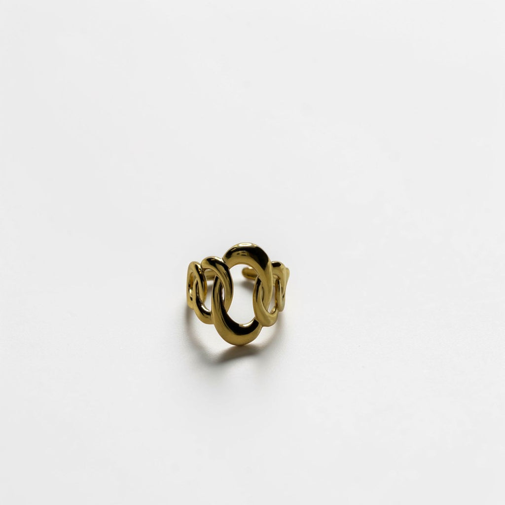 El Anillo Tethys V