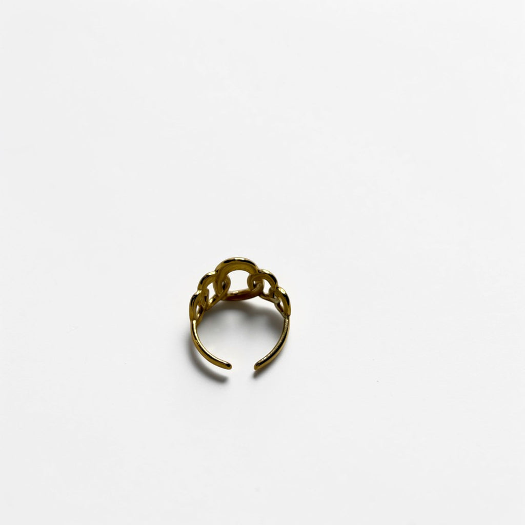 El Anillo Tethys V
