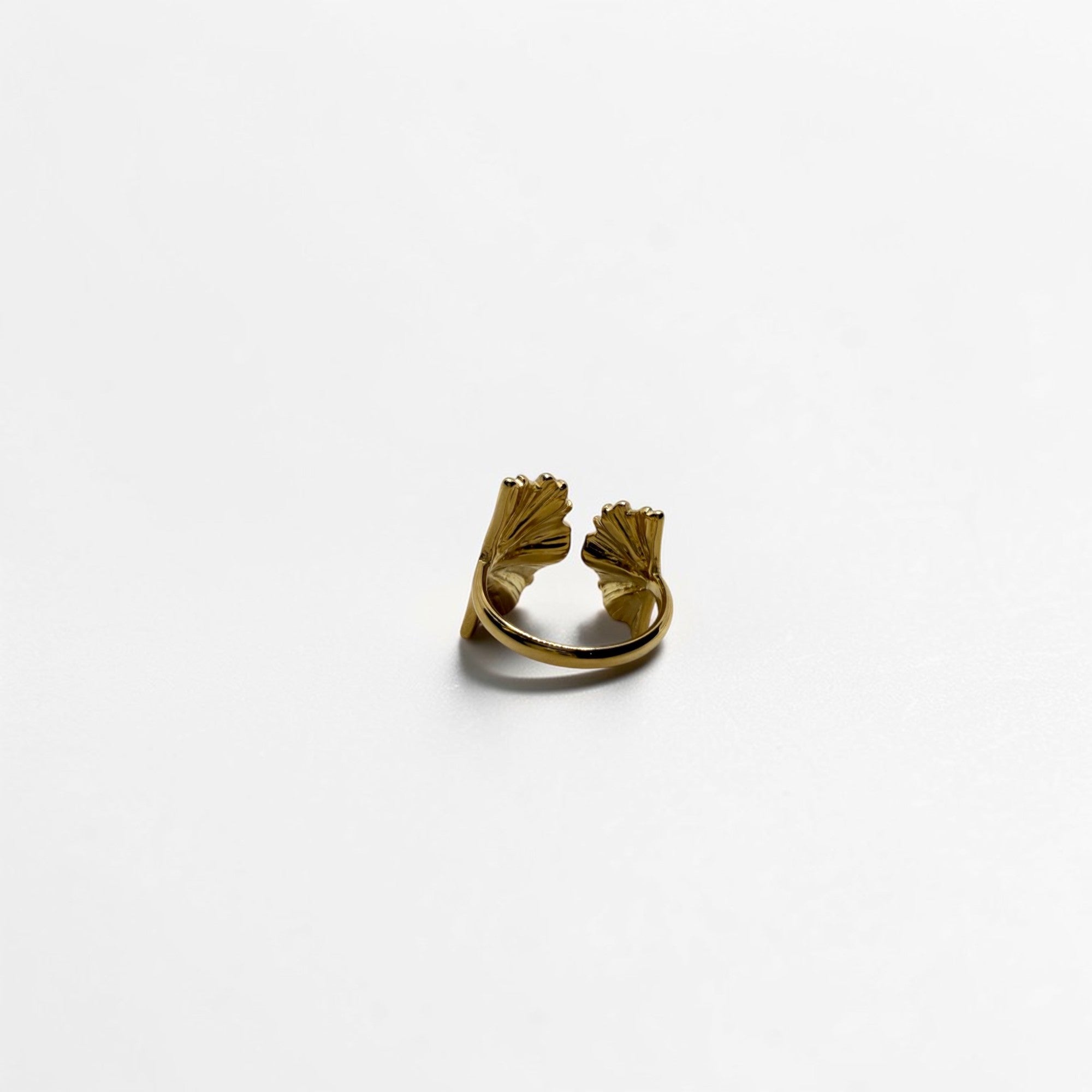 El Anillo Thalassa Vl