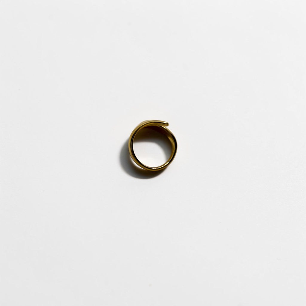 El Anillo Eris V