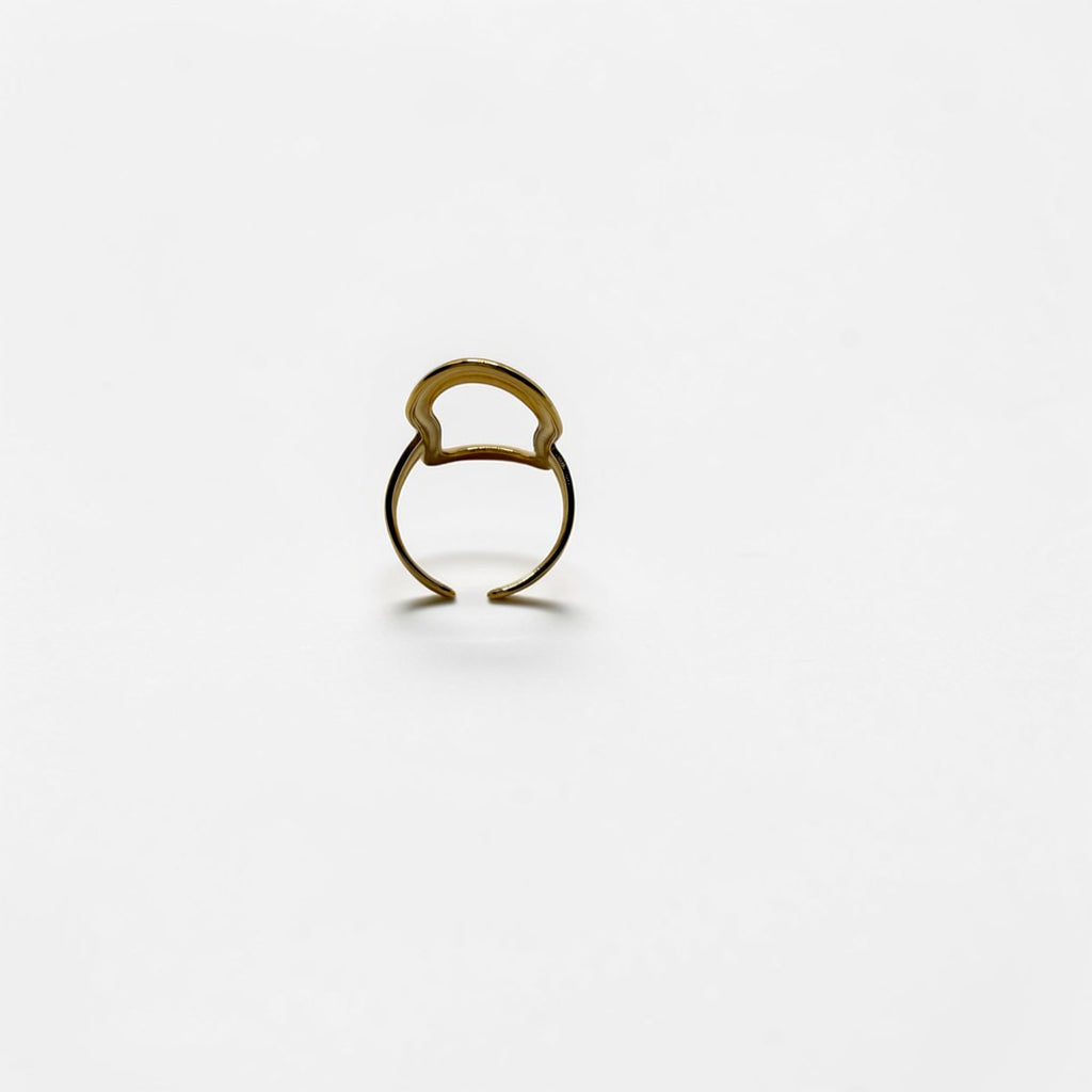 El Anillo Nyx V