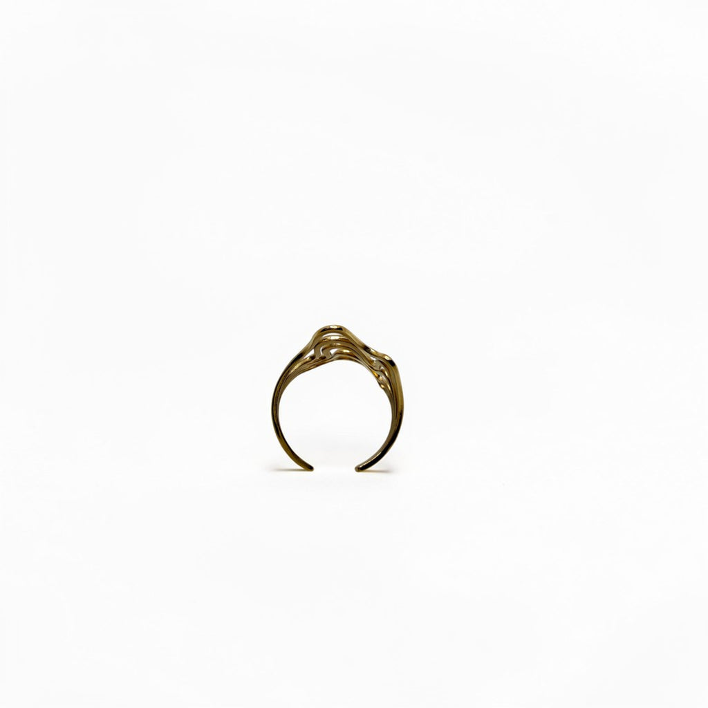 El Anillo Hestia V