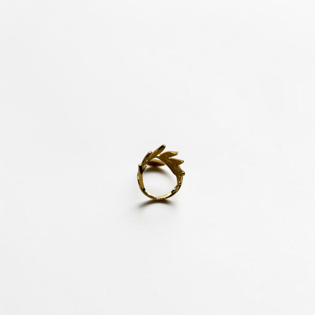 El Anillo Phoebe V