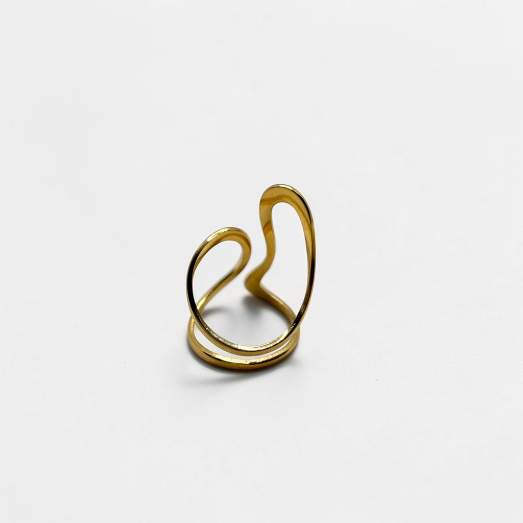 El Anillo Maia V