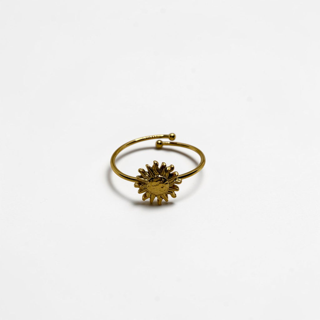 El Anillo Rhea V
