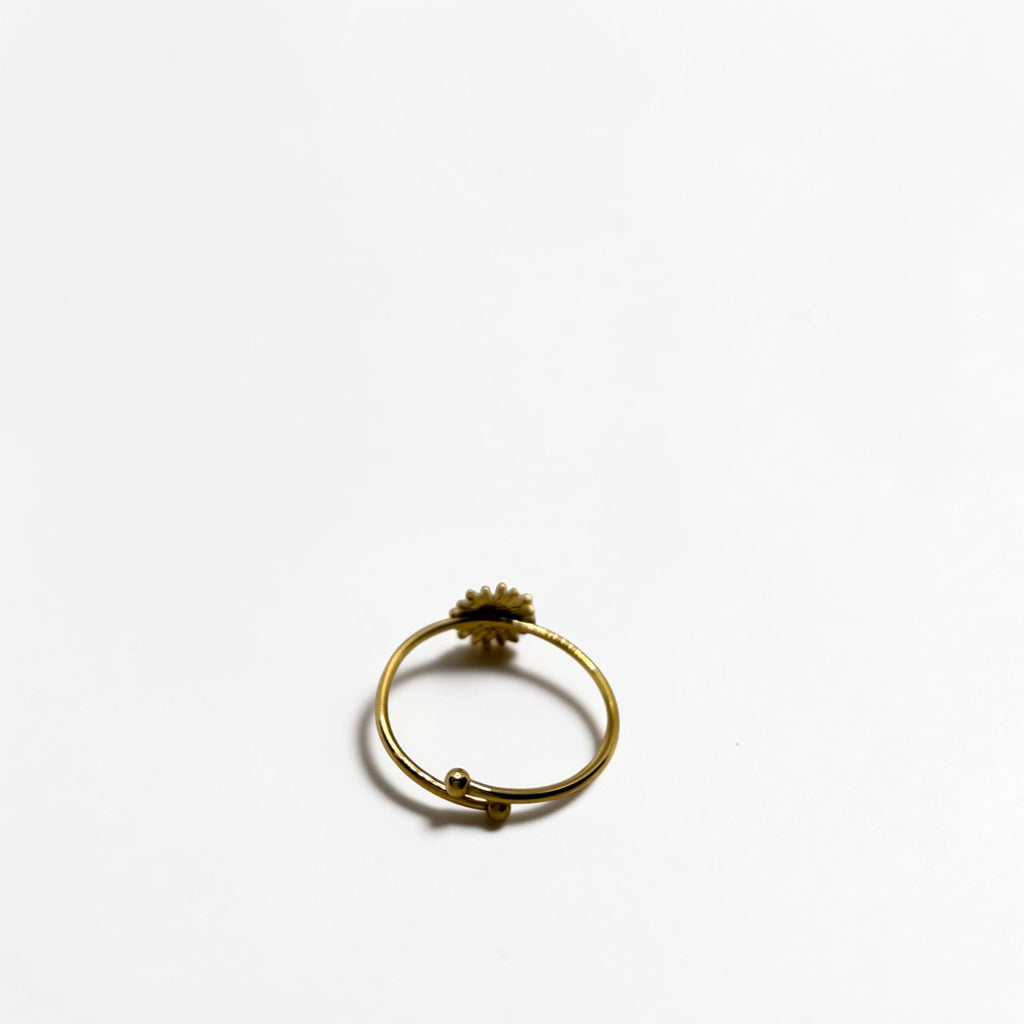 El Anillo Rhea V