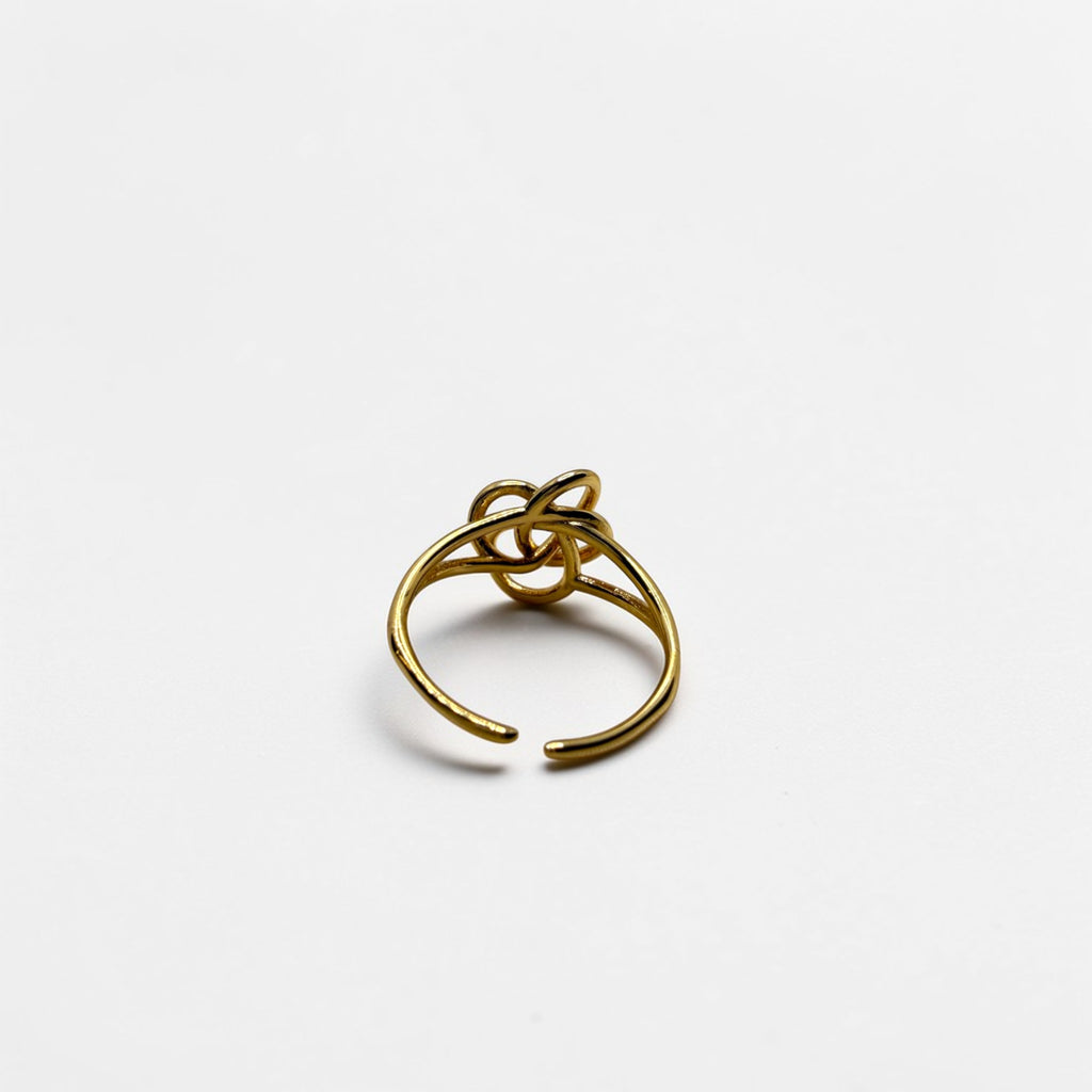 El Anillo Xanthe V