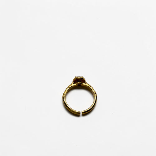 El Anillo Aurora V