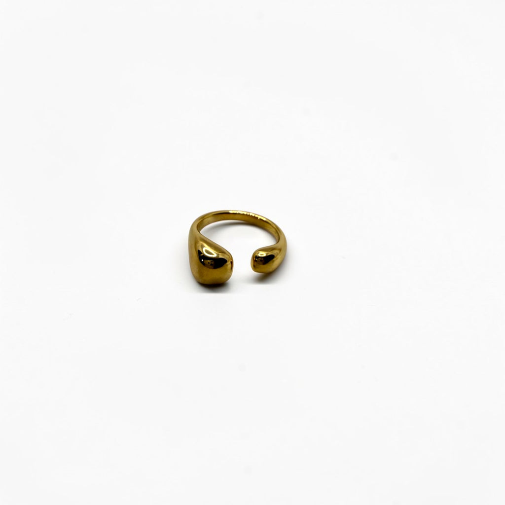 El Anillo Selene V