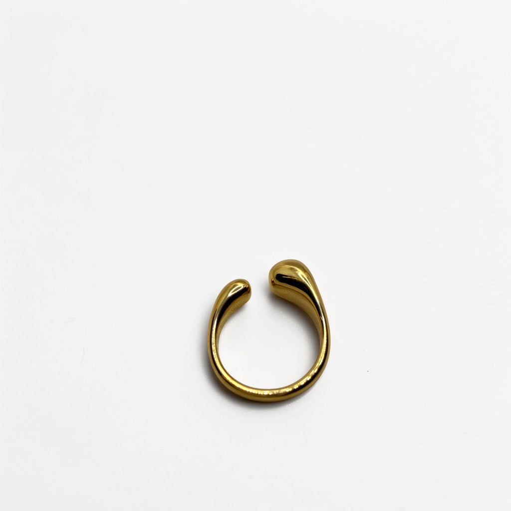El Anillo Selene V