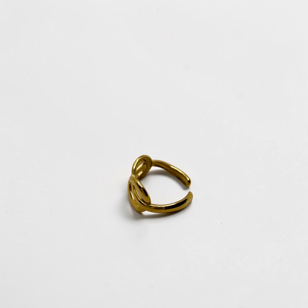 El Anillo Artemisa V