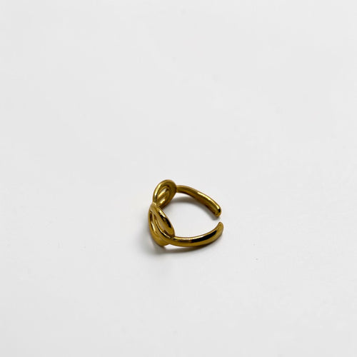 El Anillo Artemisa V