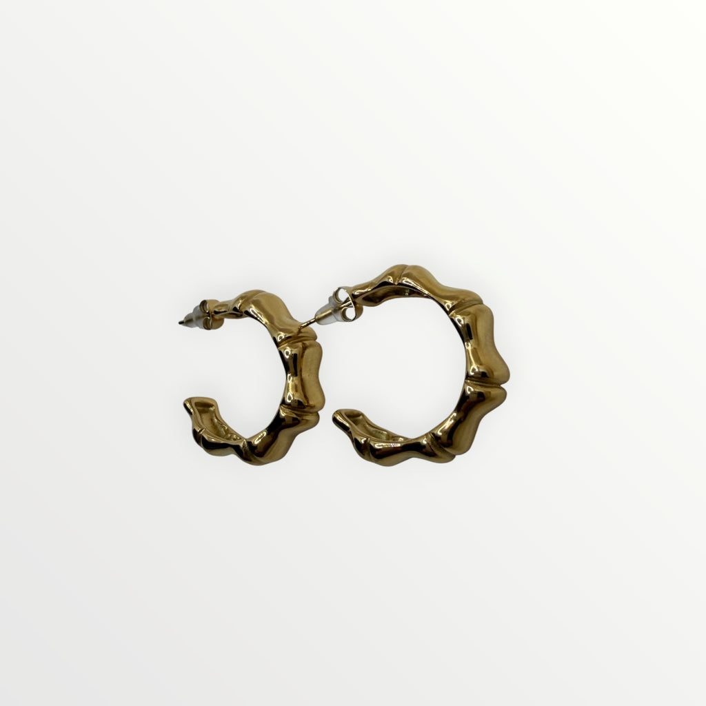 Los Pendientes Noa V
