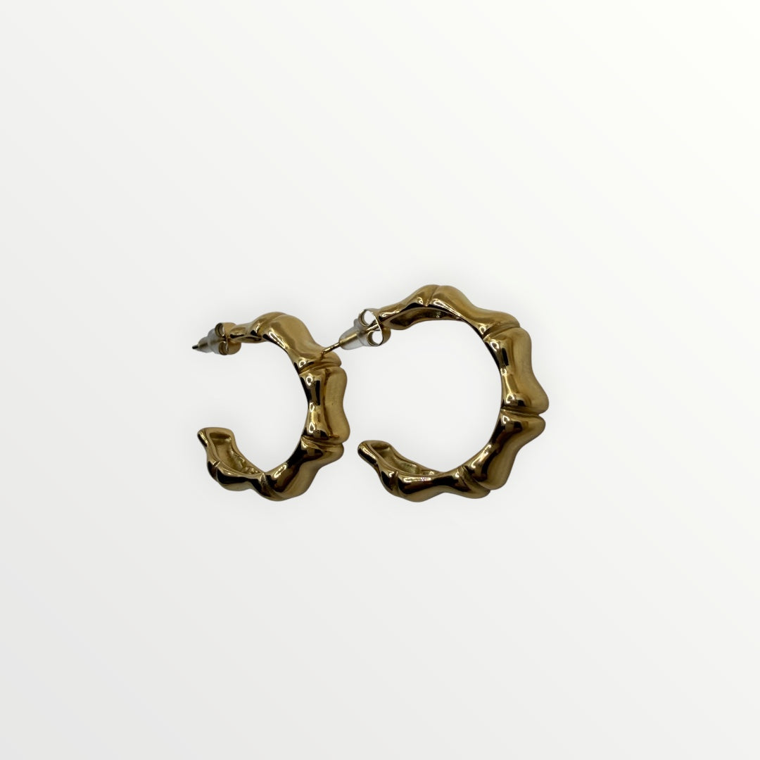 Los Pendientes Noa V