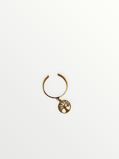 El Anillo Aveline V