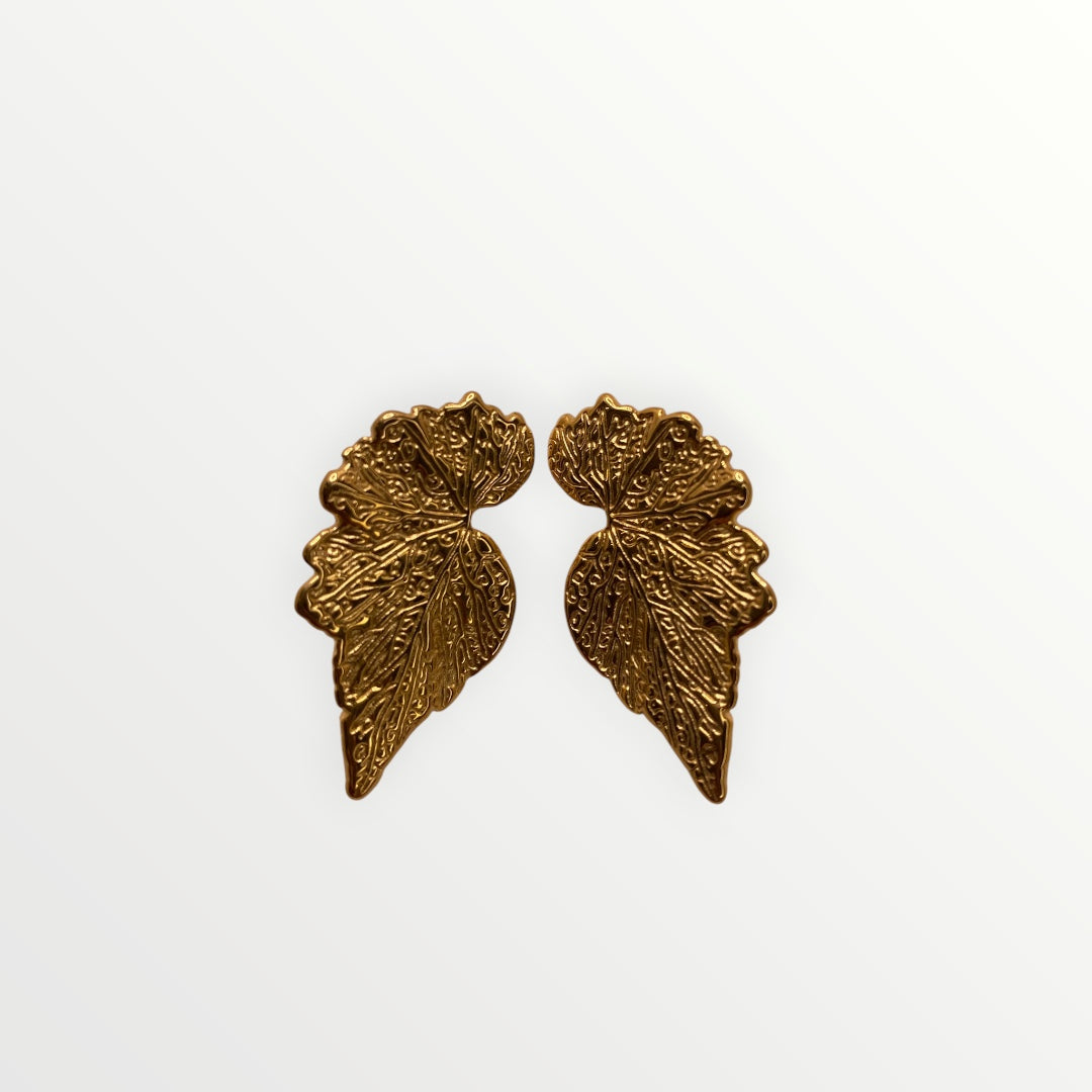 Los Pendientes Estelar V