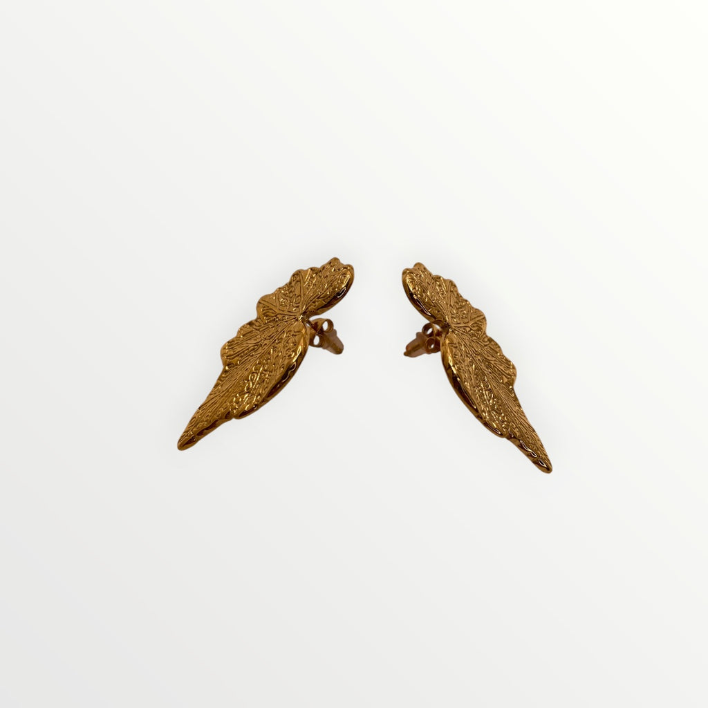 Los Pendientes Estelar V