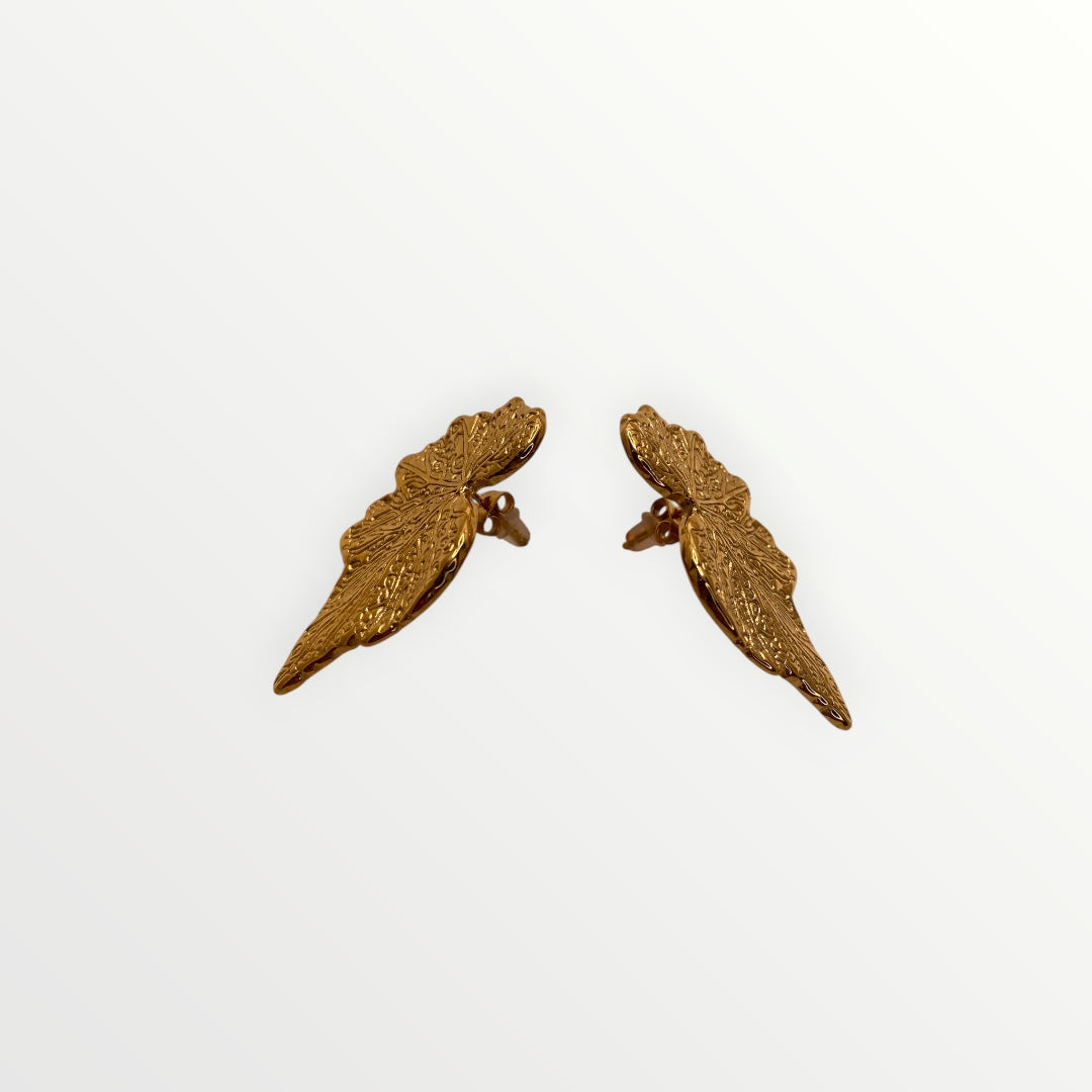 Los Pendientes Estelar V
